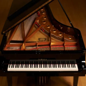 Top 70 Best Piano Music For Sale