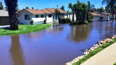 Flood Restoration San Diego